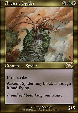 Ancient Spider