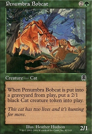 Penumbra Bobcat