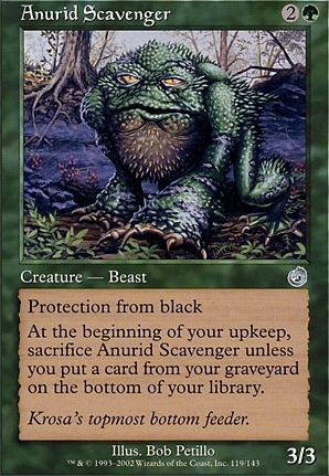 Anurid Scavenger