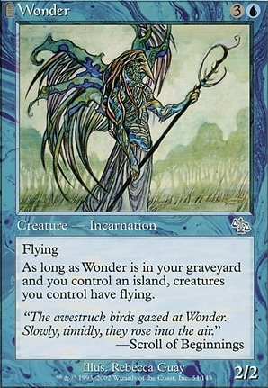 Wonder