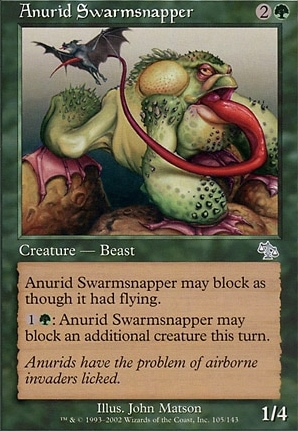 Anurid Swarmsnapper
