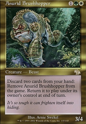 Anurid Brushhopper
