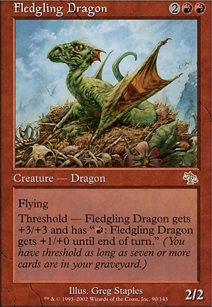 Fledgling Dragon
