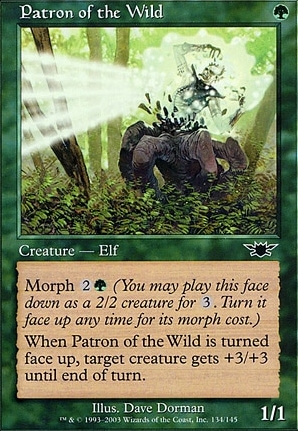 Patron of the Wild