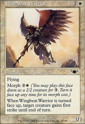 Wingbeat Warrior