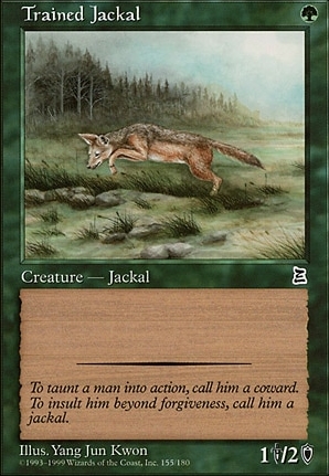 Trained Jackal