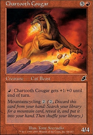 Chartooth Cougar