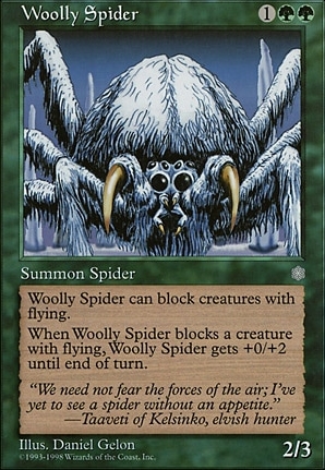 Woolly Spider