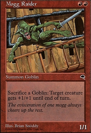 Mogg Raider