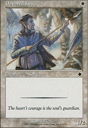 Devoted Hero