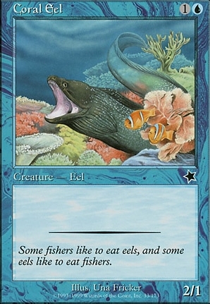 Coral Eel