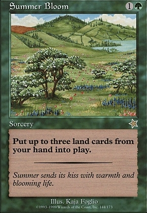 Summer Bloom