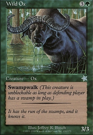 Wild Ox