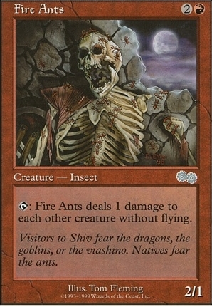 Fire Ants