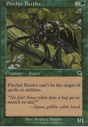 Pincher Beetles